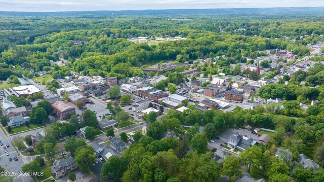 14 Pleasant St, Ballston Spa, NY 12020 - view of property location with a heavily wooded area and nearby suburban area