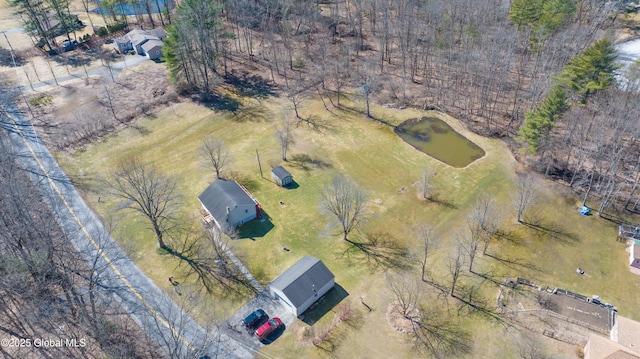 drone / aerial view