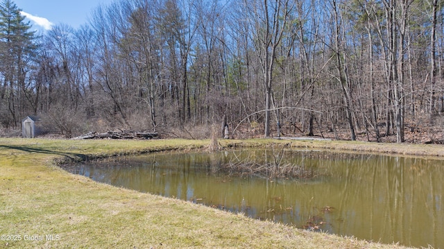 water view with a forest view