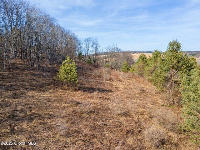 L20.2 Indian Brook Rd, Greene, NY 13778
