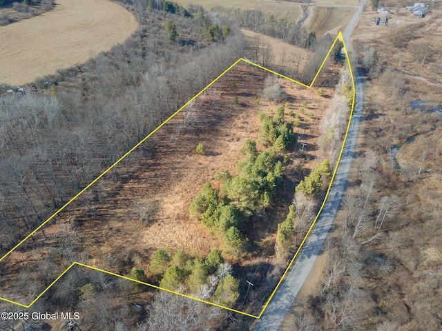Listing photo 2 for L20.2 Indian Brook Rd, Greene NY 13778