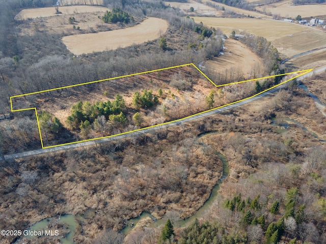 Listing photo 3 for L20.2 Indian Brook Rd, Greene NY 13778
