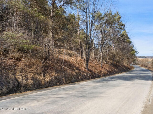 L20.2 Indian Brook Rd, Greene, NY 13778