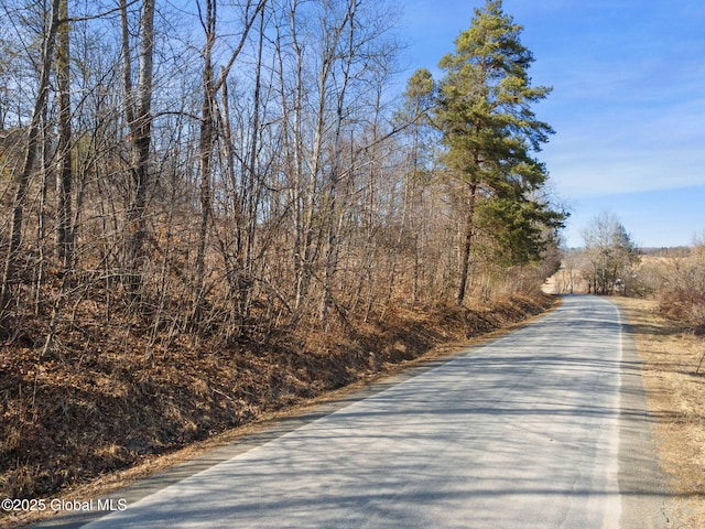 L20.2 Indian Brook Rd, Greene, NY 13778