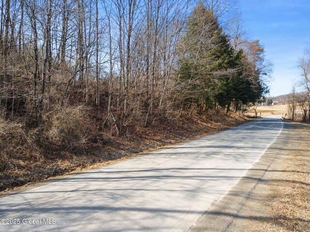 L20.2 Indian Brook Rd, Greene, NY 13778