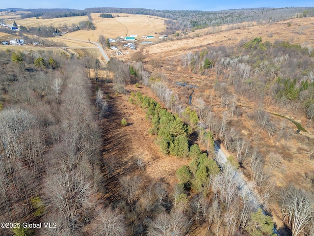 L20.2 Indian Brook Rd, Greene, NY 13778