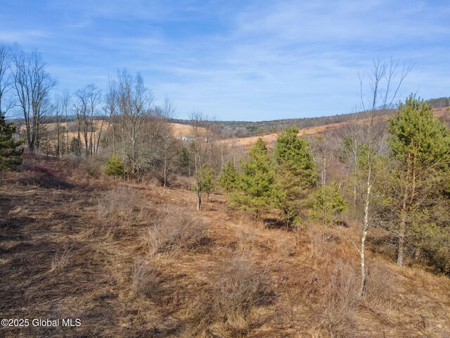 L20.2 Indian Brook Rd, Greene, NY 13778
