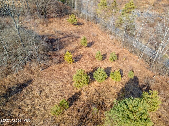 L20.2 Indian Brook Rd, Greene, NY 13778
