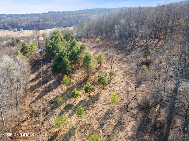 L20.2 Indian Brook Rd, Greene, NY 13778