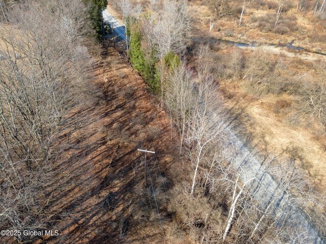 L20.2 Indian Brook Rd, Greene, NY 13778
