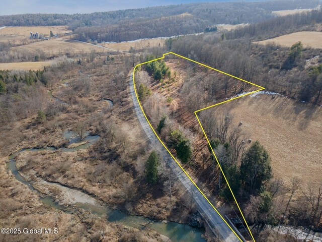 L20.2 Indian Brook Rd, Greene, NY 13778