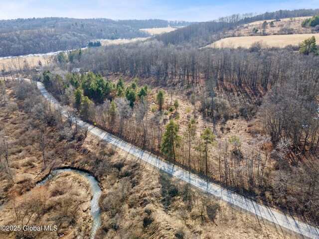 L20.2 Indian Brook Rd, Greene, NY 13778