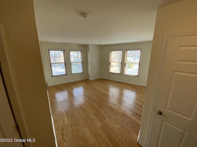 spare room featuring baseboards, a healthy amount of sunlight, and light wood-type flooring