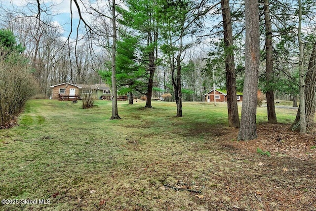 23 Leggett Rd, Ghent, NY 12075 - view of yard