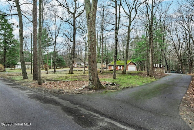 23 Leggett Rd, Ghent, NY 12075 - view of road featuring aphalt driveway