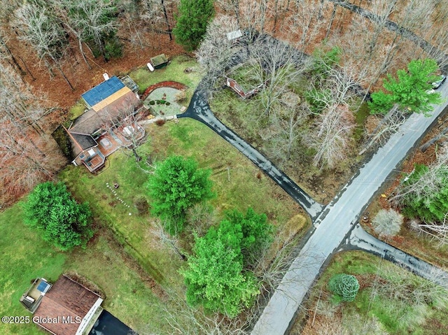 23 Leggett Rd, Ghent, NY 12075 - drone / aerial view