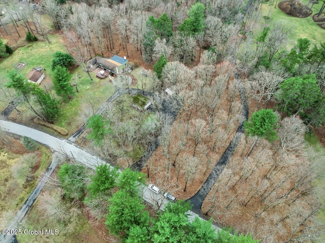23 Leggett Rd, Ghent, NY 12075 - aerial view with a forest view