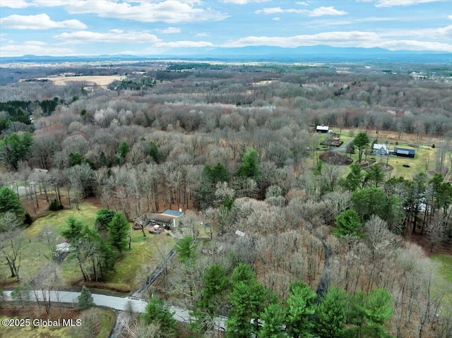 23 Leggett Rd, Ghent, NY 12075 - birds eye view of property with a wooded view and a mountain view