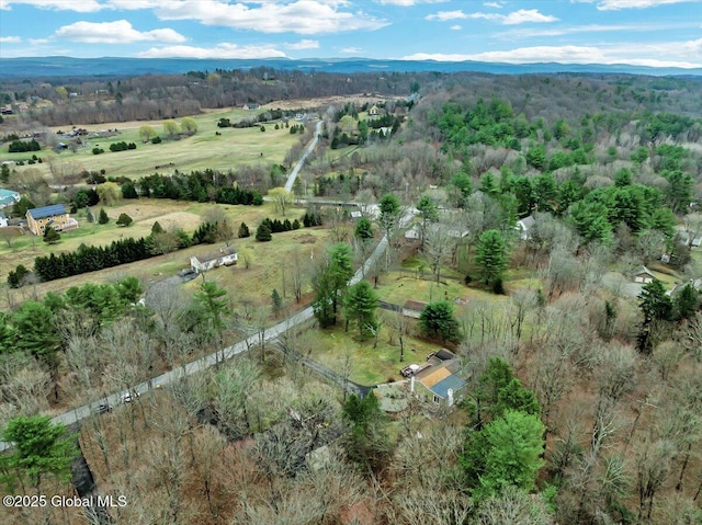 23 Leggett Rd, Ghent, NY 12075 - bird's eye view featuring a wooded view and a rural view