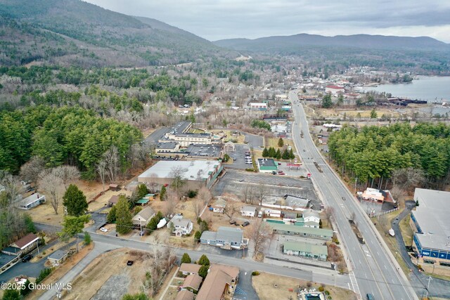 8 Birch Ave, Lake George, NY 12845 - photo 70