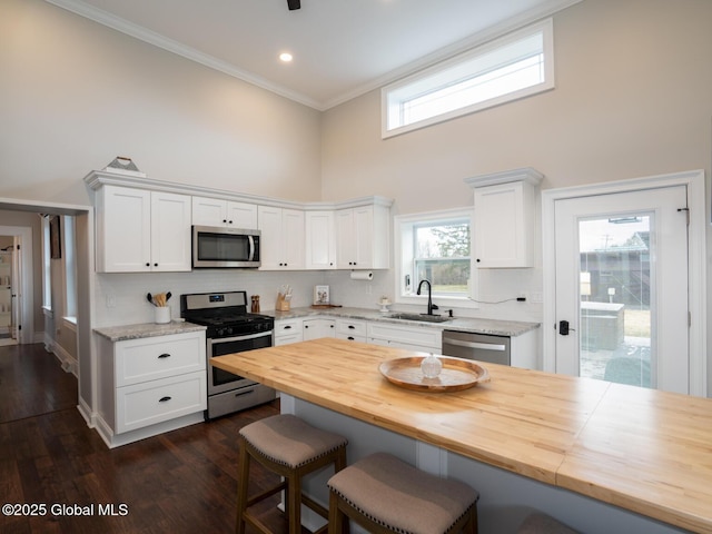 kitchen with a breakfast bar, butcher block counters, appliances with stainless steel finishes, a sink, and a high ceiling