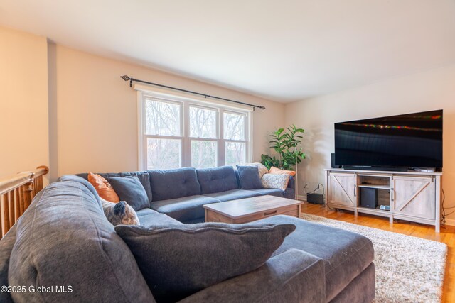 7 Bemis Heights Rd, Saratoga Springs, NY 12866 - living room with baseboards and wood finished floors