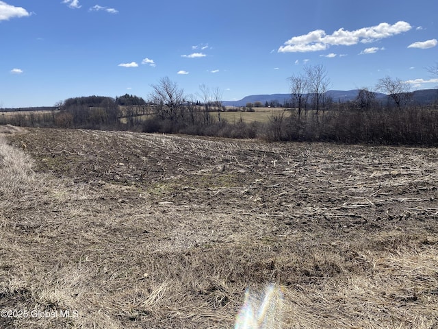 L25 Salt Springville Rd, Minden, NY 13339