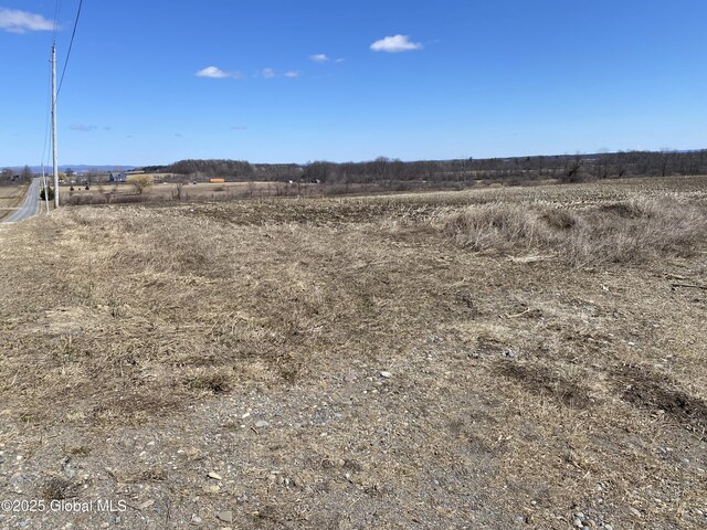 L25 Salt Springville Rd, Minden, NY 13339
