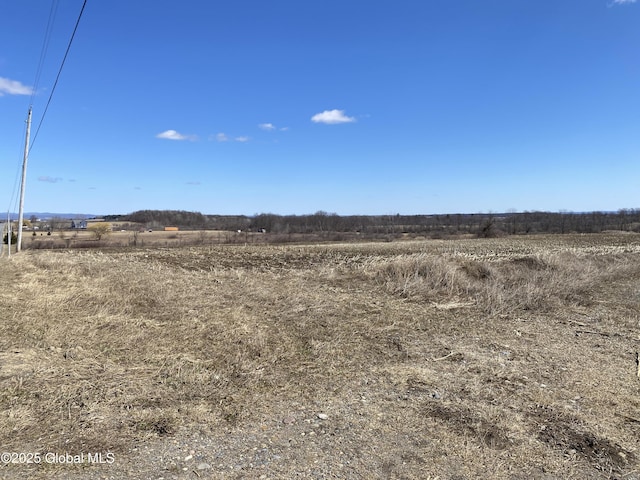 L25 Salt Springville Rd, Minden, NY 13339