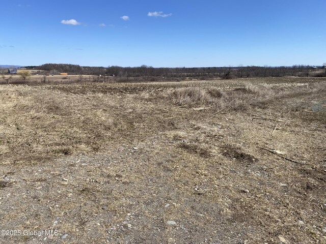 L25 Salt Springville Rd, Minden, NY 13339