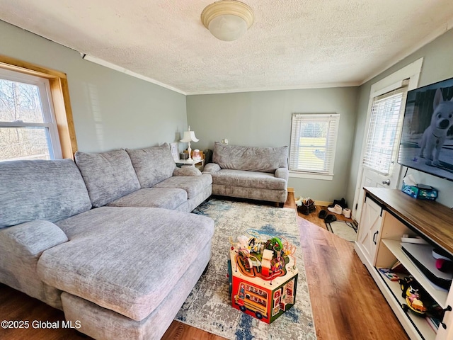 living room with a textured ceiling, ornamental molding, and wood finished floors