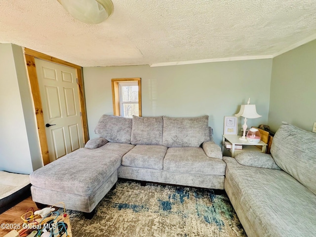 living room featuring a textured ceiling and wood finished floors