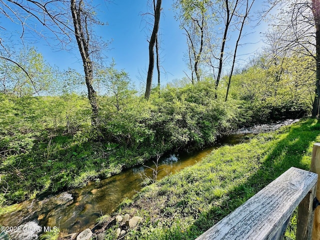 445 Rte 67, Mechanicville, NY 12118 - view of yard