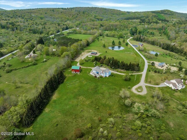 156 Saddle Brook Ct, Cooperstown, NY 13326 - photo 4