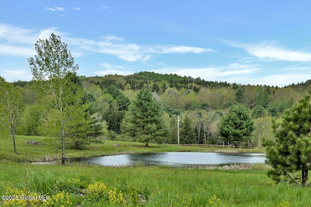 156 Saddle Brook Ct, Cooperstown, NY 13326 - photo 5