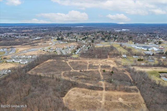 30 Landor Ln, Colonie, NY 12047 - photo 2