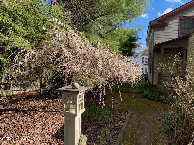 21 Andrews St, Saratoga Springs, NY 12866 - view of yard