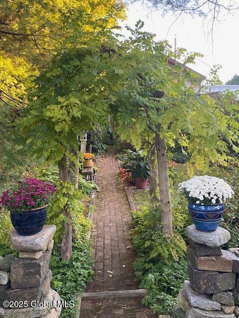 21 Andrews St, Saratoga Springs, NY 12866 - view of yard