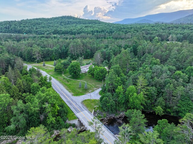 2003 US Route 9, Schroon, NY 12870 - photo 100