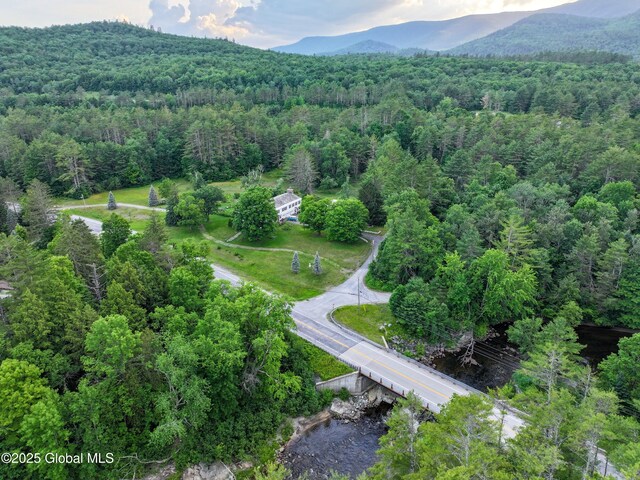 2003 US Route 9, Schroon, NY 12870 - photo 101
