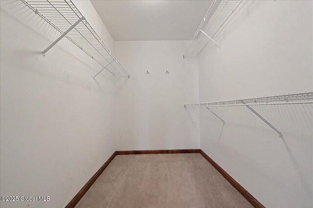walk in closet featuring light carpet