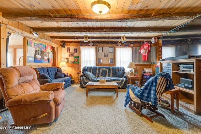 3183 State Highway 10, Ephratah, NY 12095 - carpeted living room featuring wood ceiling and beam ceiling