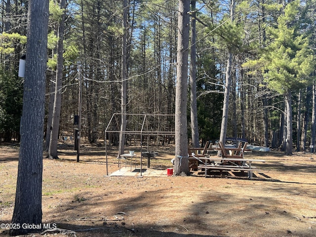 view of yard with a wooded view