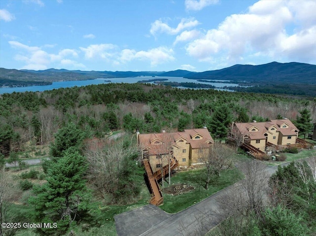 birds eye view of property featuring a water and mountain view and a wooded view