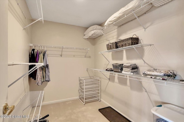 walk in closet featuring carpet