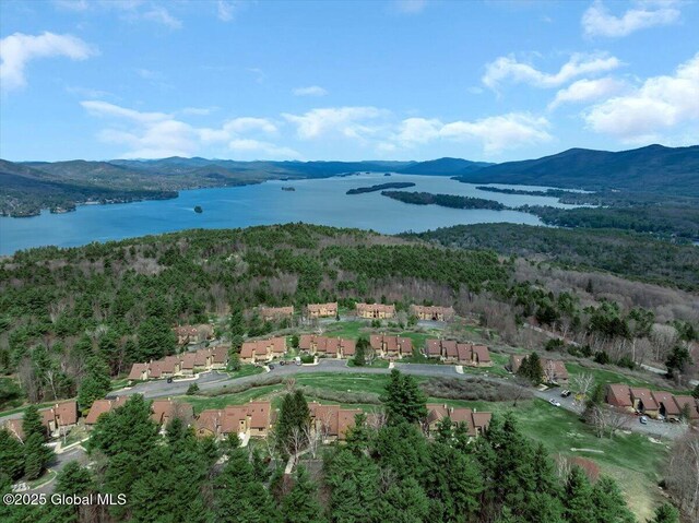 birds eye view of property with a forest view and a water and mountain view