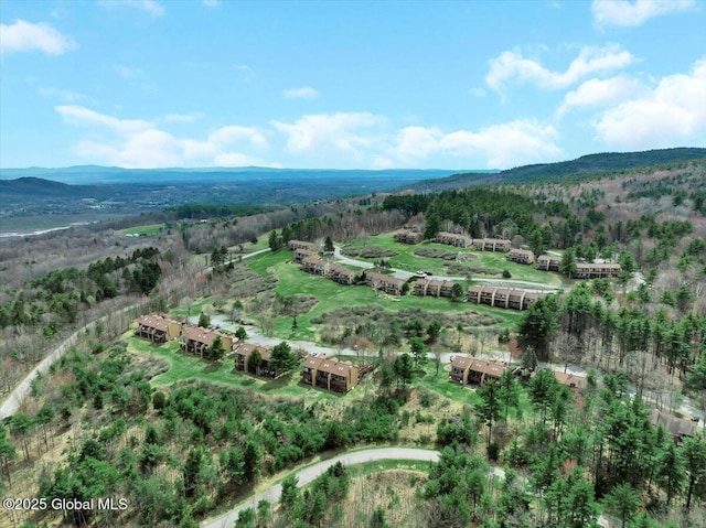 bird's eye view with a view of trees