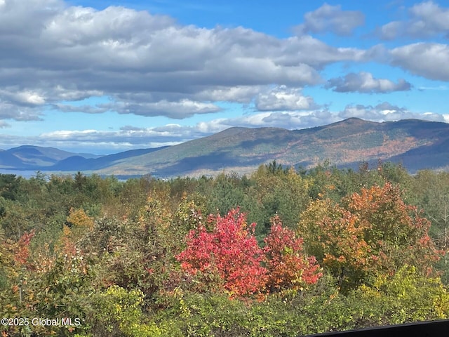 property view of mountains featuring a wooded view