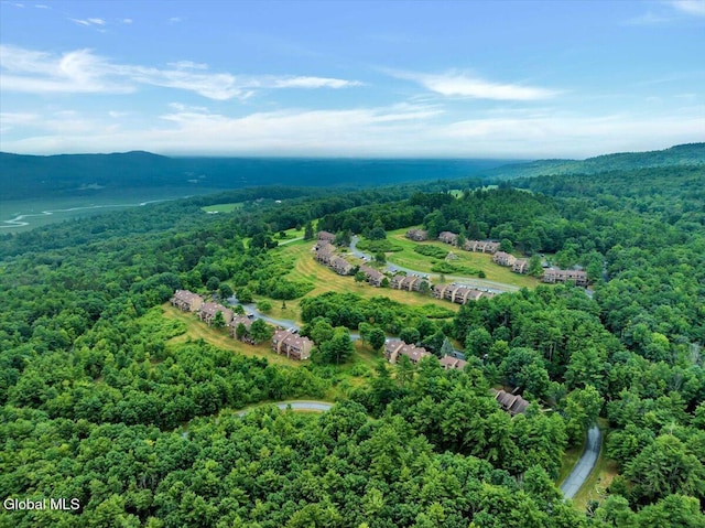 441 Lockhart Mountain Rd Unit 60, Queensbury, NY 12845 - photo 41
