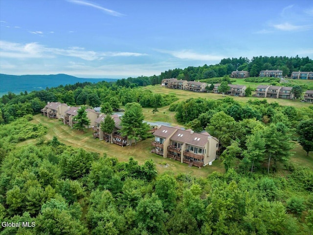 441 Lockhart Mountain Rd Unit 60, Queensbury, NY 12845 - photo 45